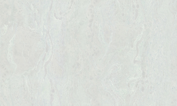 Bristar Xenia 99133