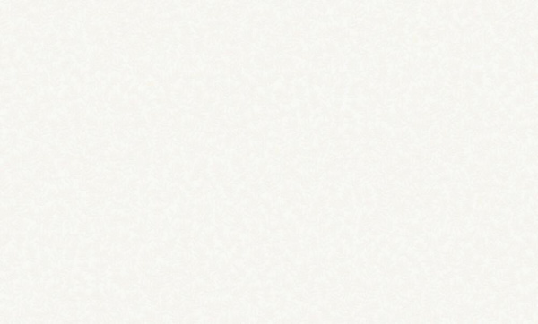 Rasch Bright Whisper W 189101