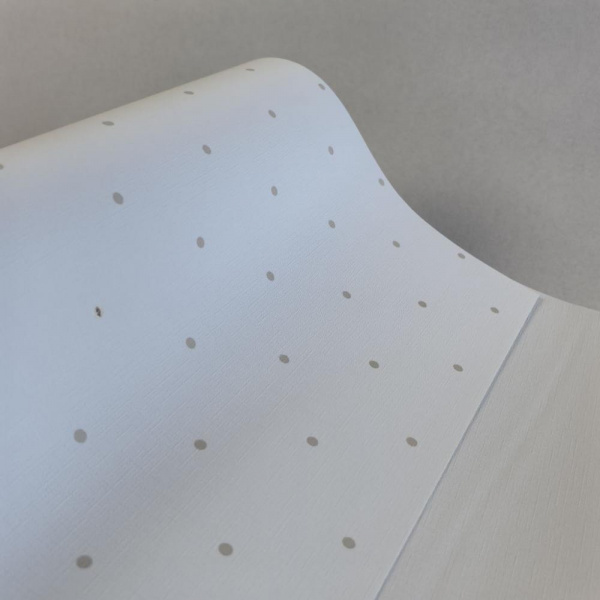 Andrea Rossi Spectrum Box 54454-1