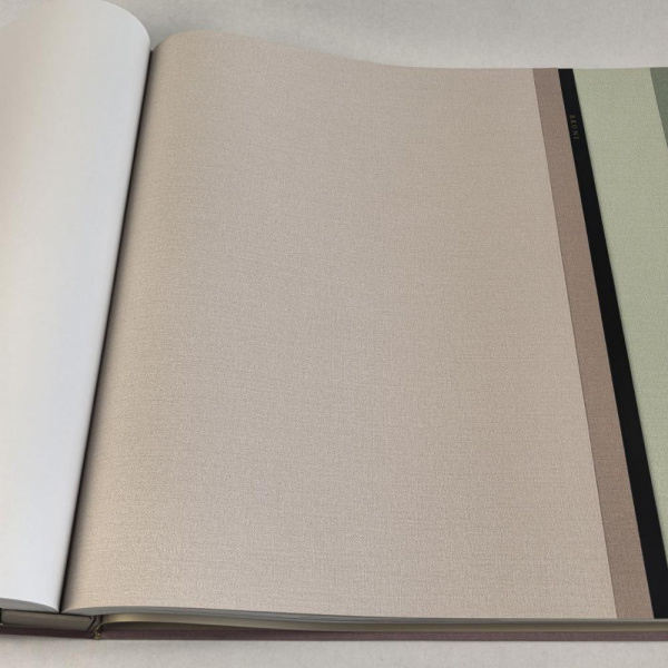 Alessandro Allori Bruni RBN 1003-8