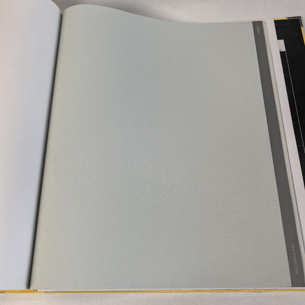 Andrea Rossi Cavolli 54416-9