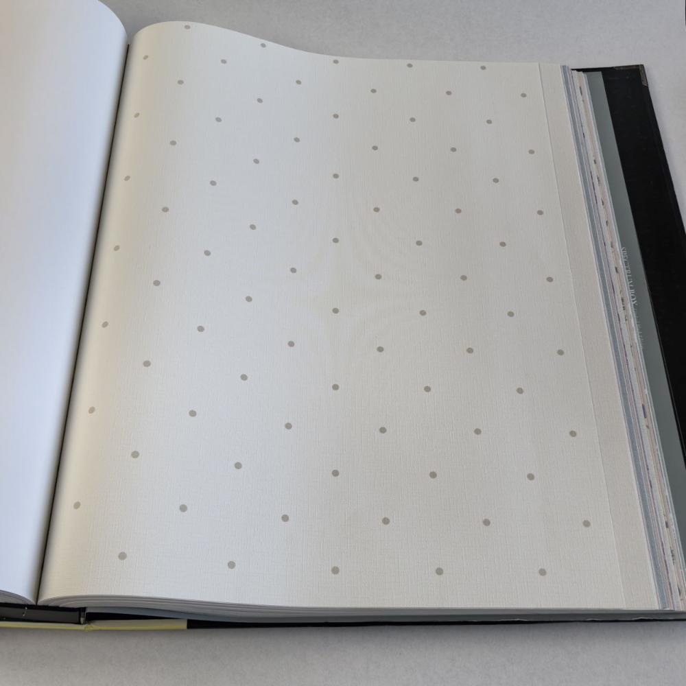 Andrea Rossi Spectrum Box 54454-1