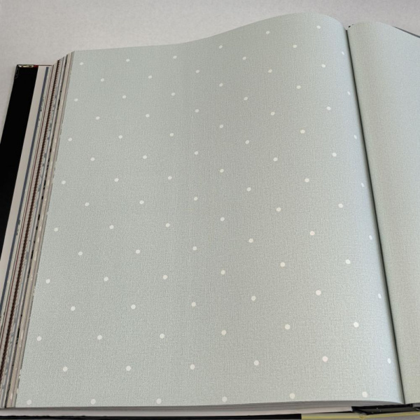 Andrea Rossi Spectrum Box 54454-16